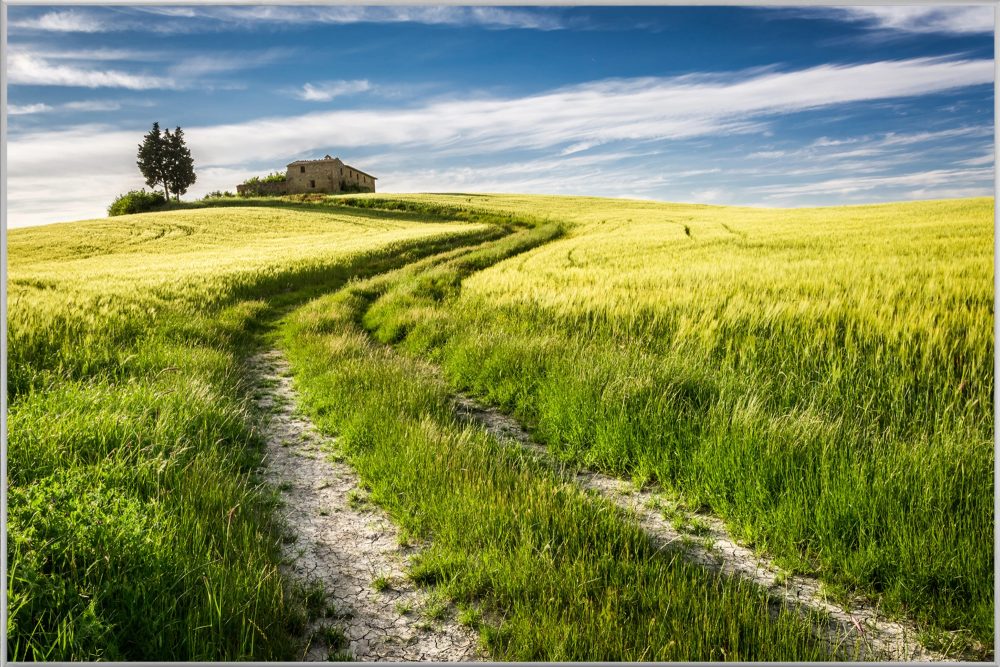 image LAND Bild mit Rahmen Feldweg  | Schubiger Möbel