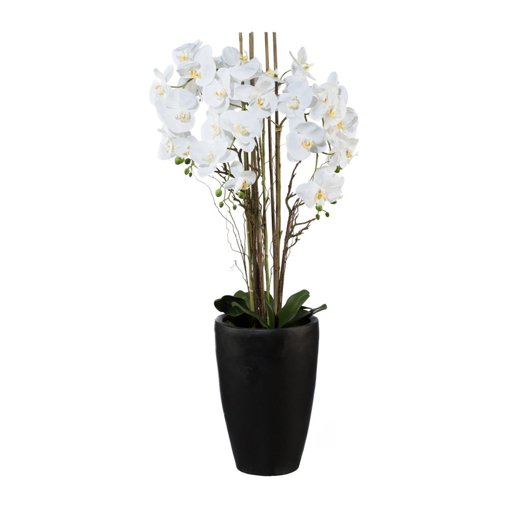 Gasper Orchideenpflanze weiss Vase Dunkelbraun  | Schubiger Möbel