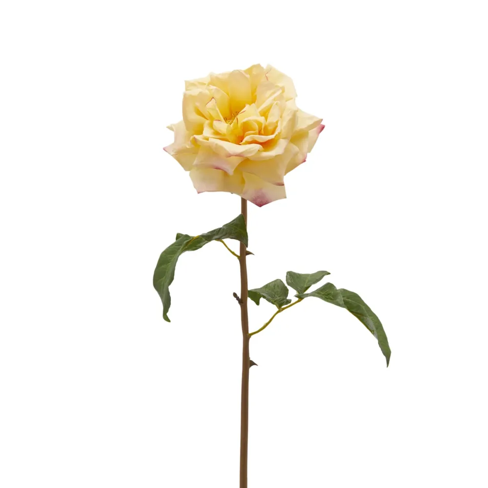 Edg Kunstblume Rose Hellgelb H: 50 cm  | Schubiger Möbel