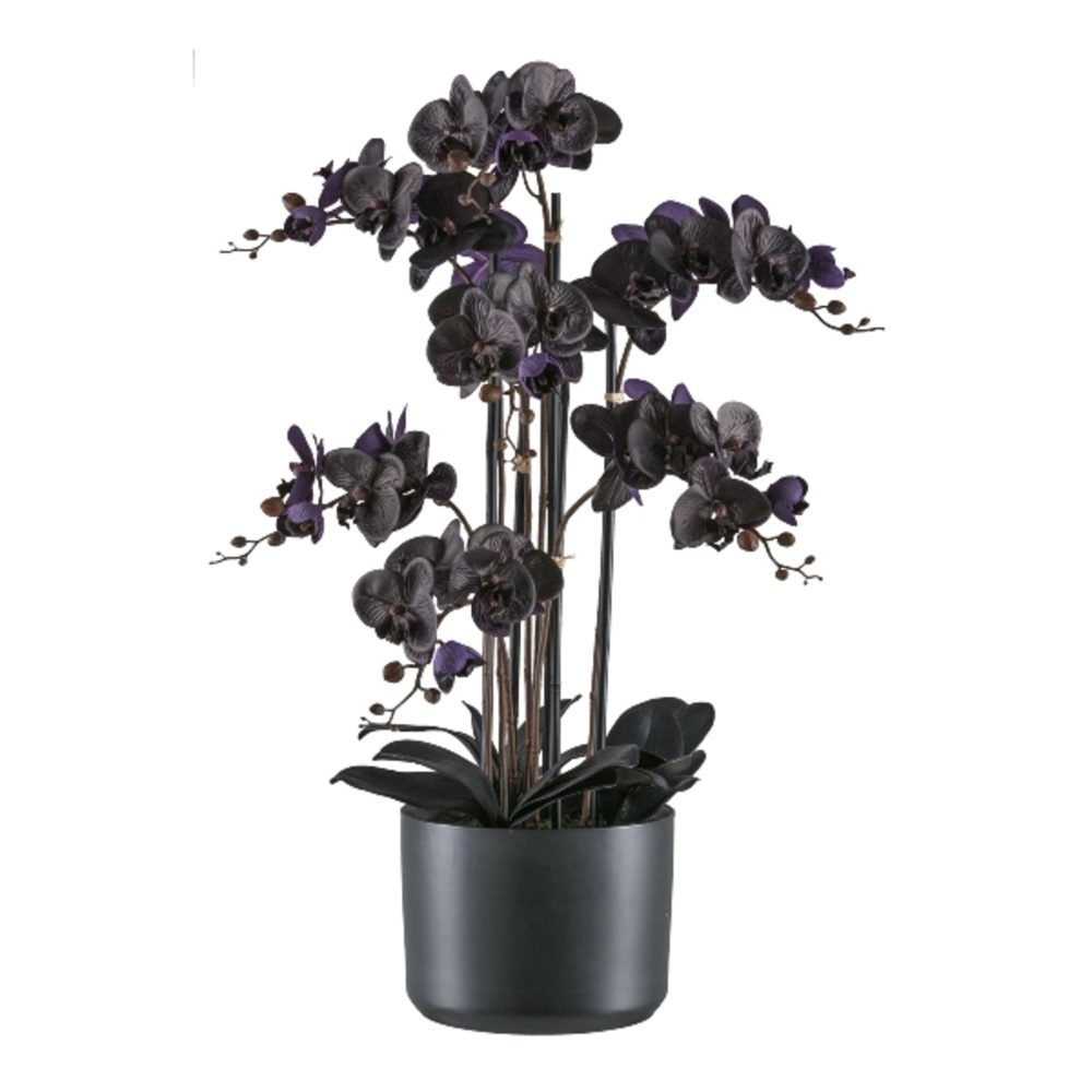 Gasper Kunstpflanzen Phalaenopsis im Keramiktopf, Schwarz  | Schubiger Möbel