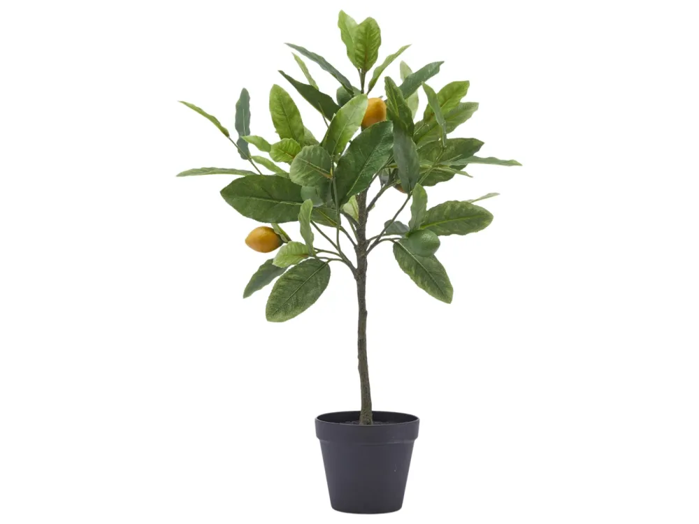 Edg Kunstpflanze Zitronenbaum H: 56 cm  | Schubiger Möbel