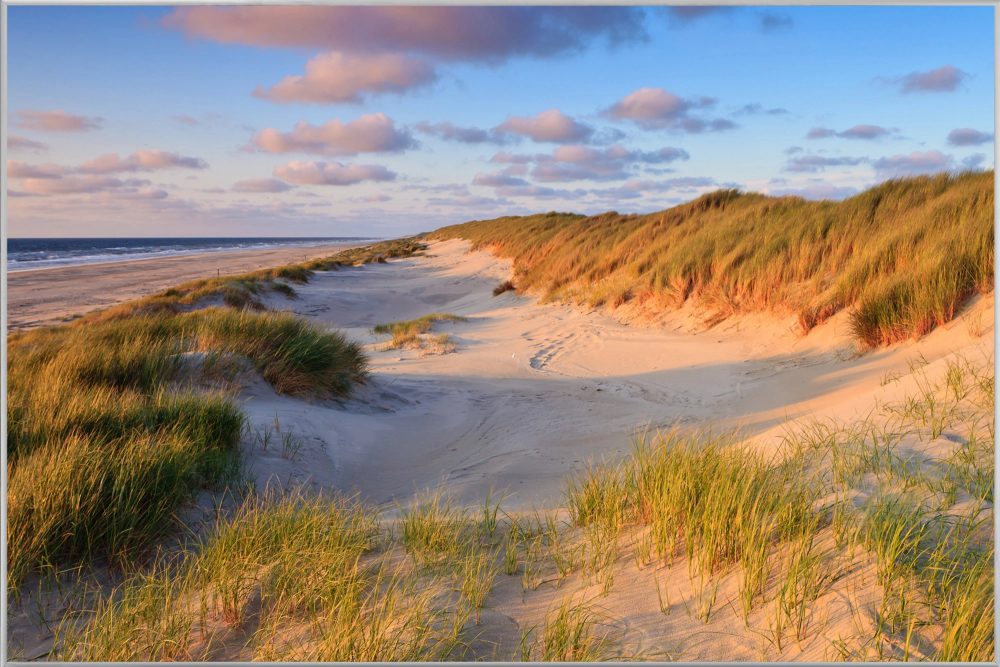 image LAND Bild mit Rahmen Dünen am Meer 2  | Schubiger Möbel
