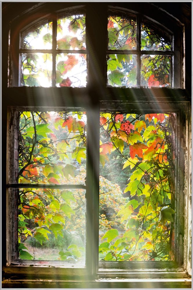 image LAND Bild mit Rahmen Fenster mit Laub  | Schubiger Möbel