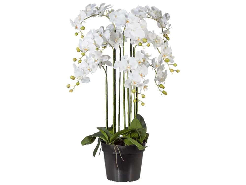 Gasper Kunstpflanze Orchidee Weiss im Topf H: 110 cm  | Schubiger Möbel