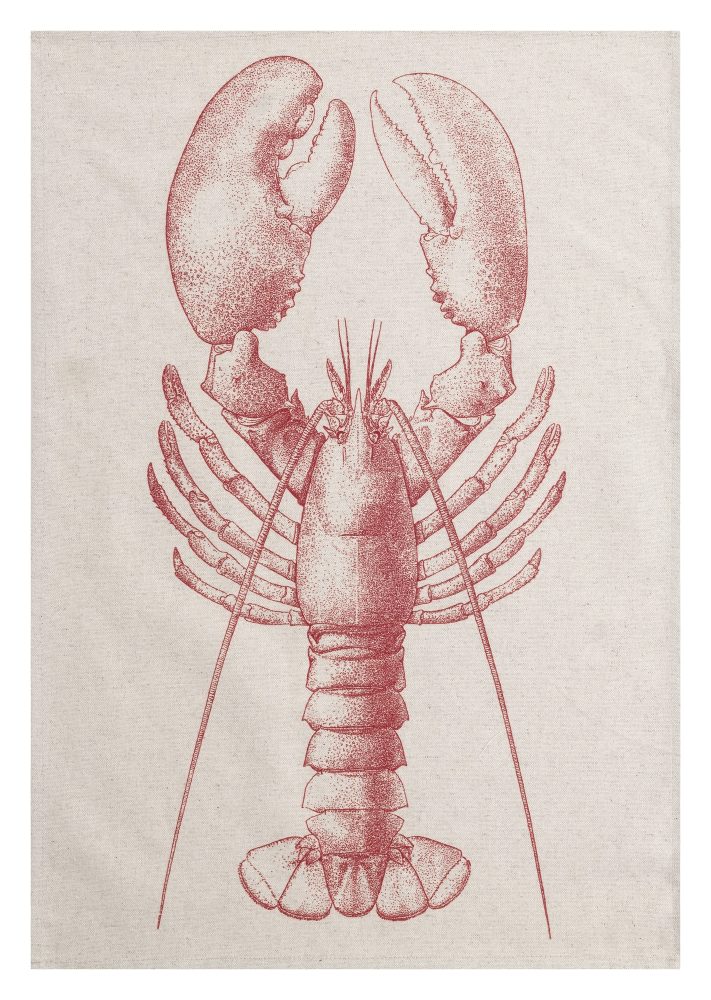 Magma Geschirrtuch Sea Breeze Lobster B: 50 cm  | Schubiger Möbel