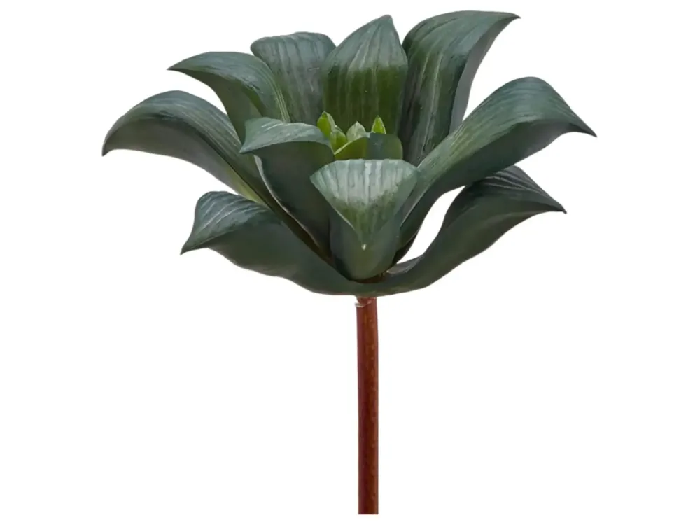 Edg Kunstblume Agave Klein Grau-Grün H: 16 cm Mehrfarbig | Schubiger Möbel