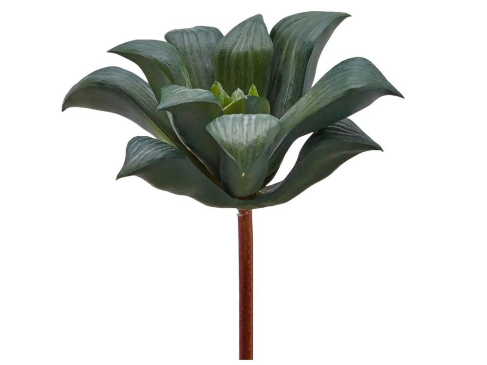 Edg Kunstblume Agave Klein Grau-Grün H: 16 cm Mehrfarbig | Schubiger Möbel