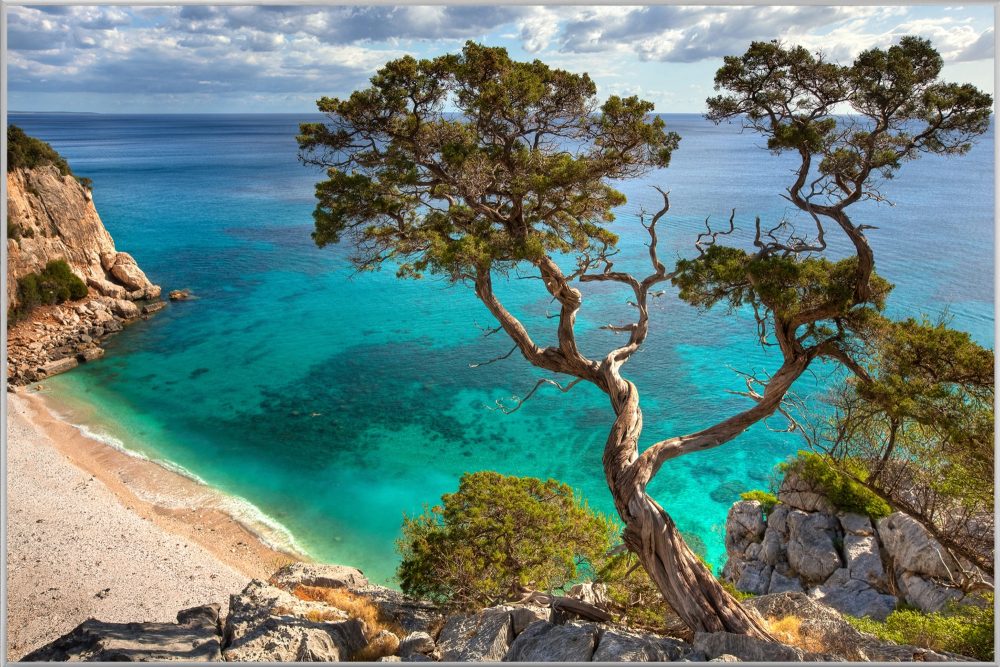 image LAND Bild mit Rahmen Steilküste mit Baum  | Schubiger Möbel