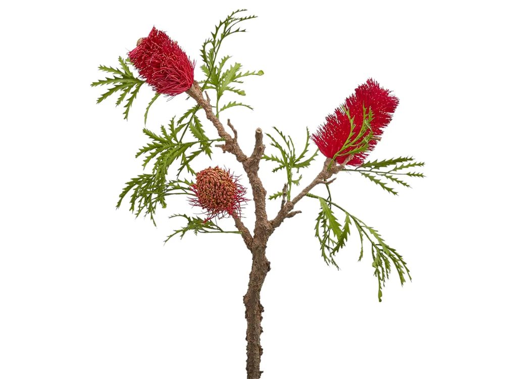 Edg Protea Banksia Purple H: 84 cm  | Schubiger Möbel