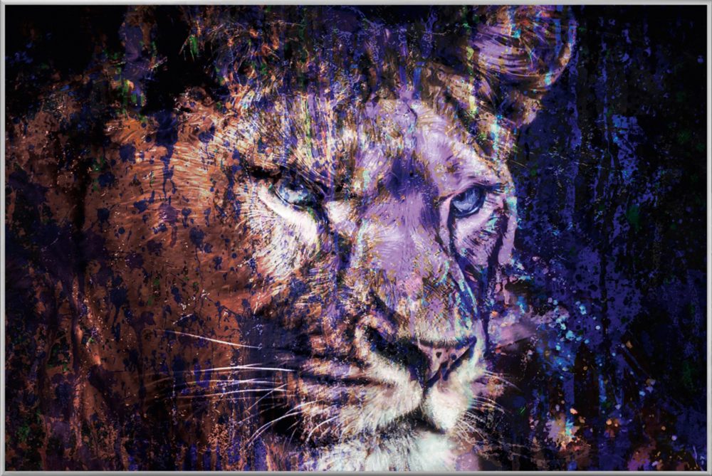 image LAND Bild mit Rahmen Löwe in Blau  | Schubiger Möbel