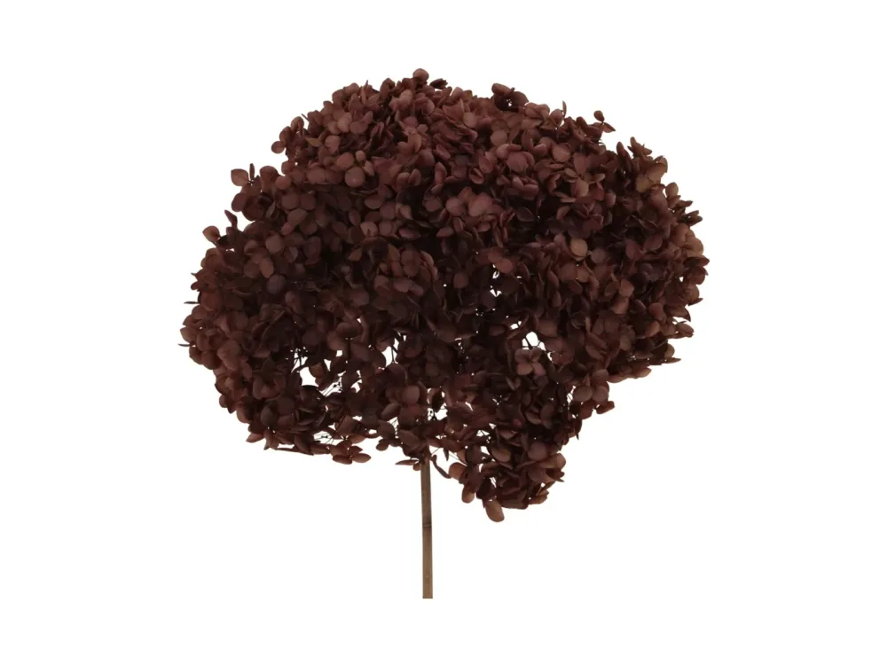 Decofinder Kunstblumen Bund Hortensien, Natur, H:60 cm Beige | Schubiger Möbel