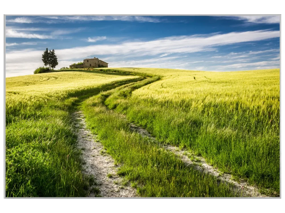 image LAND Bild mit Rahmen Feldweg  | Schubiger Möbel
