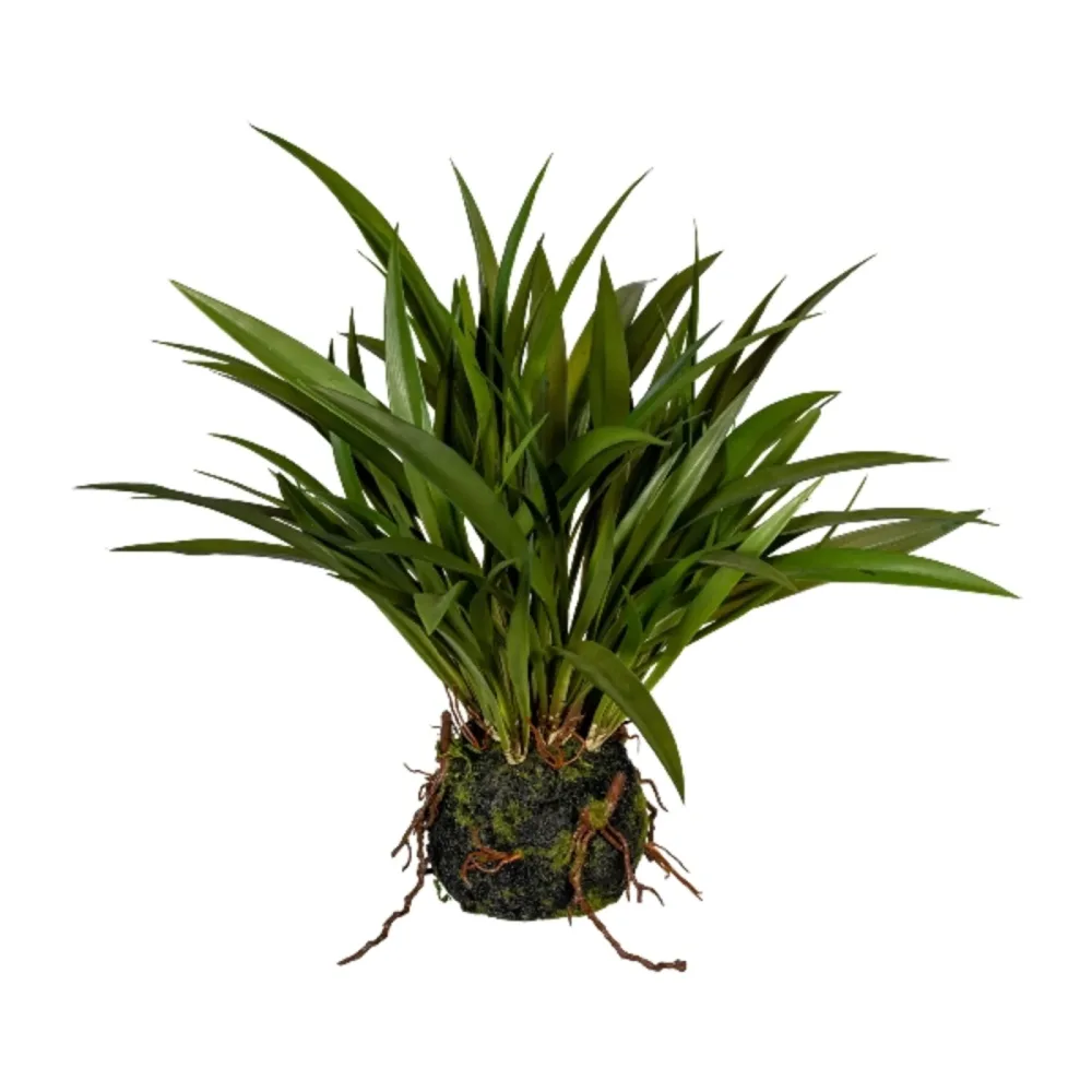 Gasper Kunstpflanzen Miscanthusgras H: 35 cm  | Schubiger Möbel