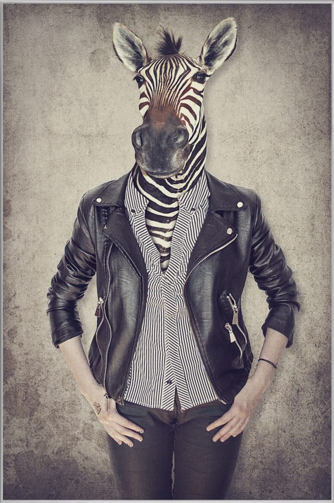 image LAND Bild mit Rahmen Zebra Gentleman  | Schubiger Möbel