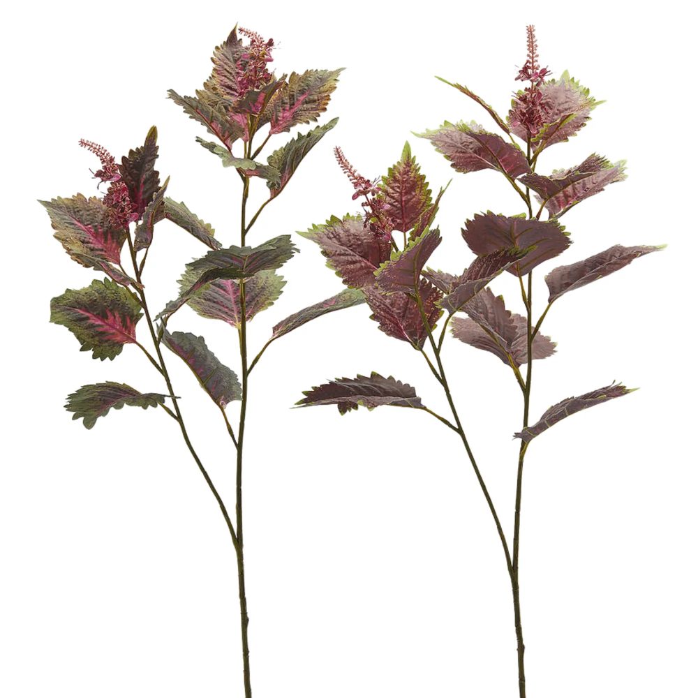 Edg Kunstblumen Buntnessel Ass.grün Rosa H: 85 cm  | Schubiger Möbel