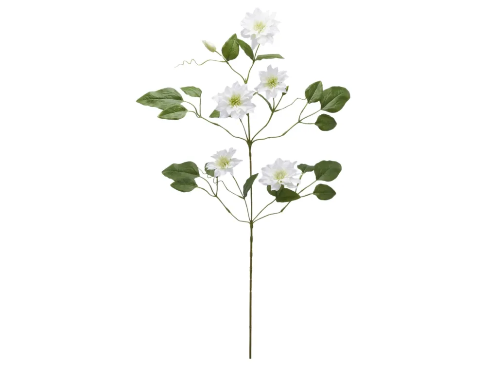 Edg Kunstblume Clematis Weiss H: 105 cm  | Schubiger Möbel