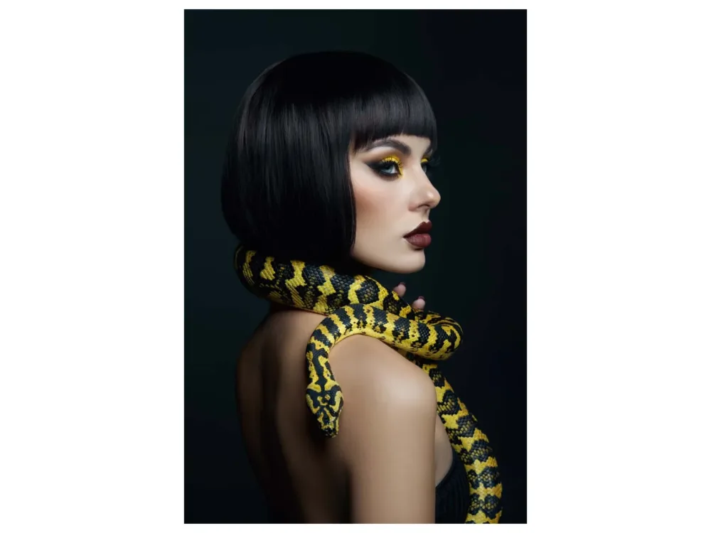 image LAND Canvas Frau mit Python  | Schubiger Möbel