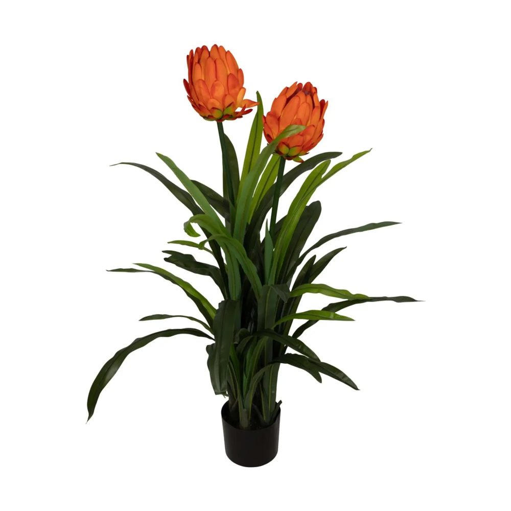 Decofinder Kunstpflanze Protea Orange H: 116 cm  | Schubiger Möbel