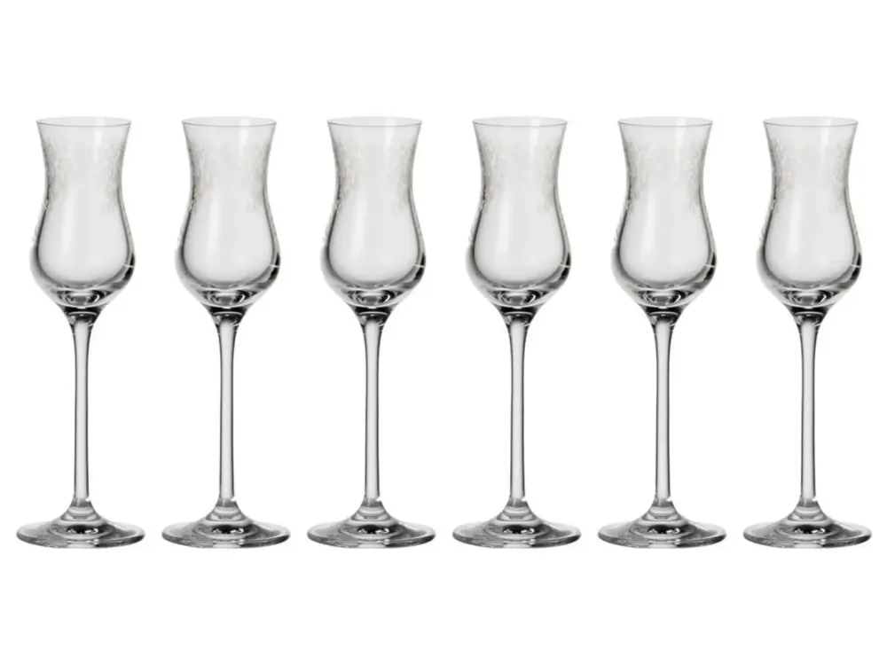 Alltron Grappaglas Chateau 0.9 Dl, 6 Stück Transparent | Schubiger Möbel