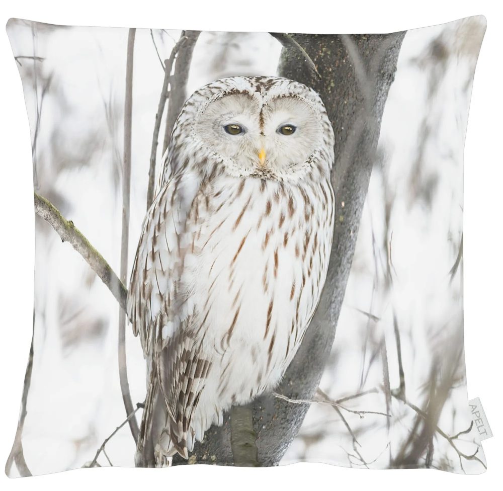 Apelt Kissenhülle Schneeeule 45x45 cm  | Schubiger Möbel
