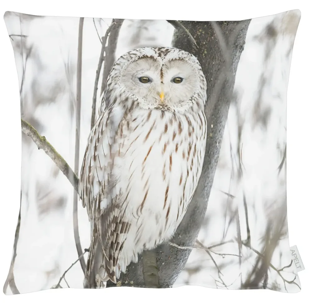 Apelt Kissenhülle Schneeeule 45x45 cm  | Schubiger Möbel
