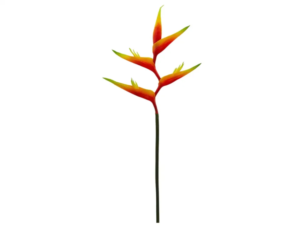 Edg Kunstblume Helleconia Orange H: 75 cm Orange | Schubiger Möbel