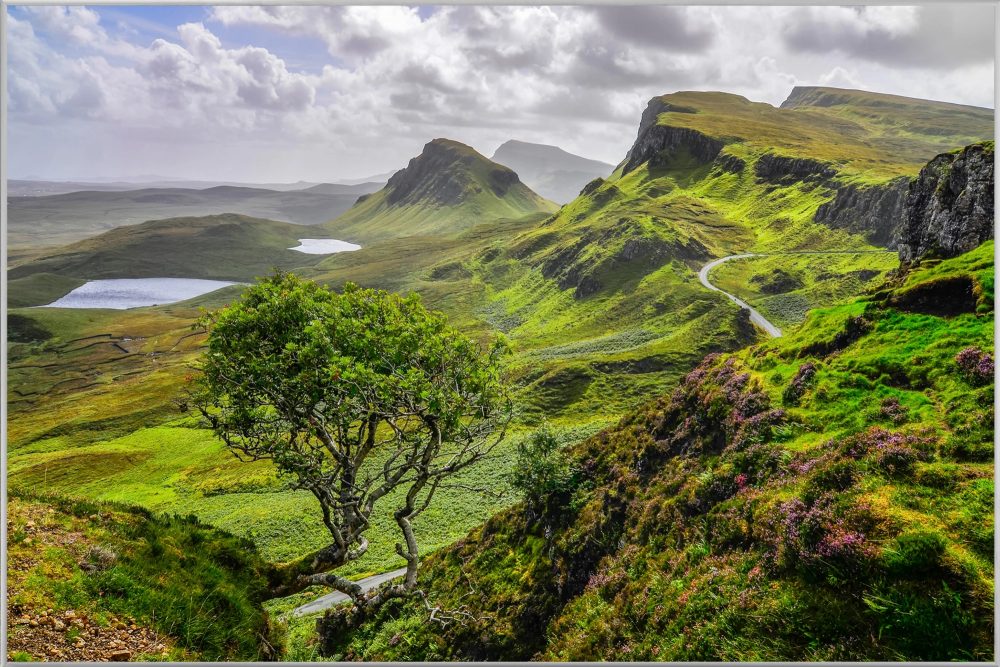 image LAND Bild mit Rahmen Hügelige Landschaft  | Schubiger Möbel