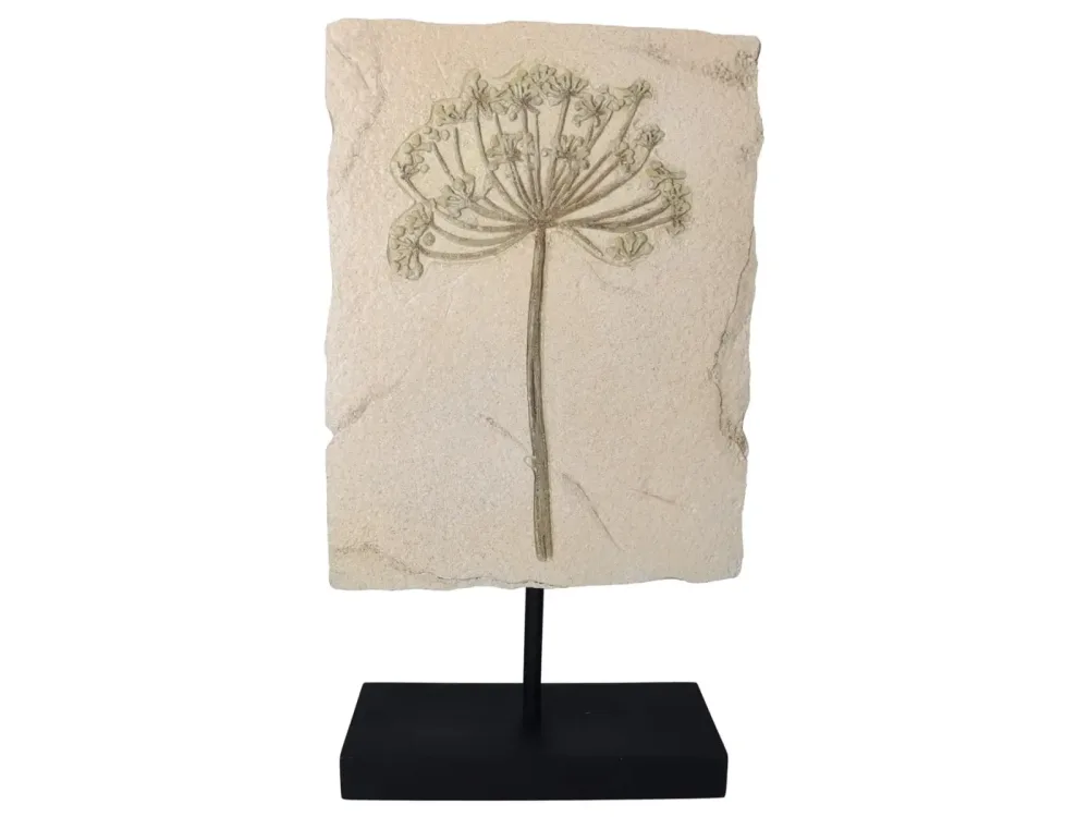 Kersten Skulptur Ornament Kerbel H: 47 cm  | Schubiger Möbel