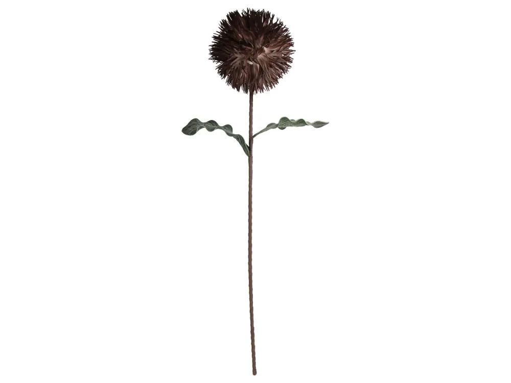 Kersten Kunstblumen Blüte Braun H: 76 cm  | Schubiger Möbel