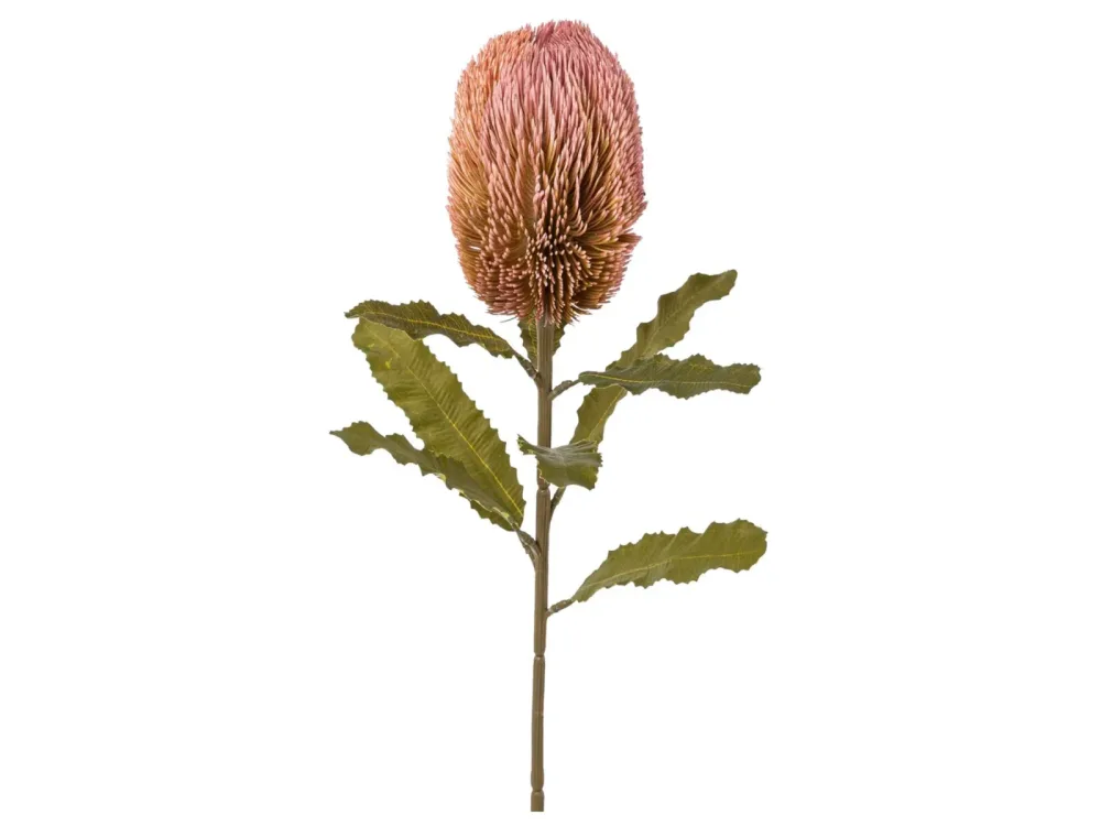 Gasper Kunstblume Banksie Rosa H: 65 cm Rosa | Schubiger Möbel