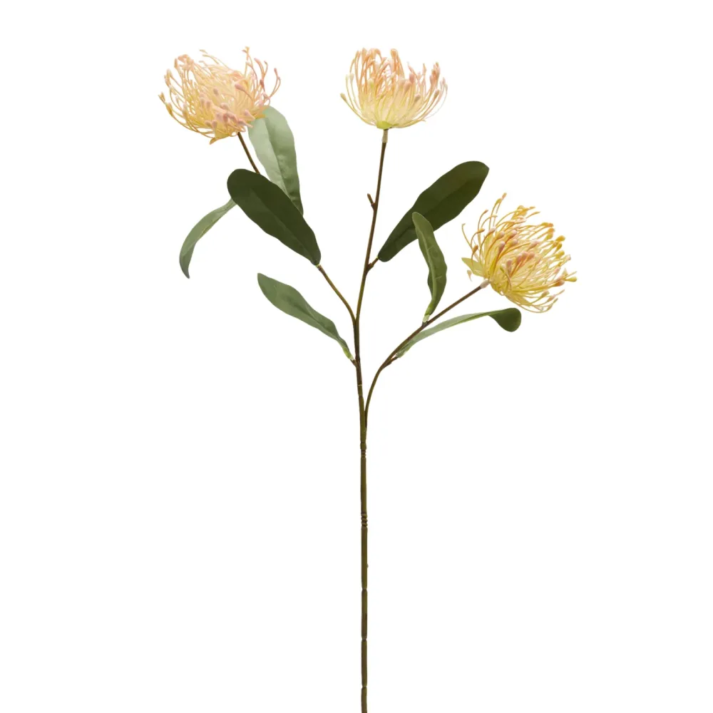Edg Kunstblume Protea Grün H: 75 cm  | Schubiger Möbel