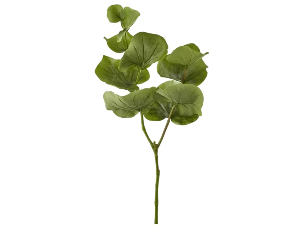 Edg Kunstblume Begonienblatt H: 80 cm  | Schubiger Möbel