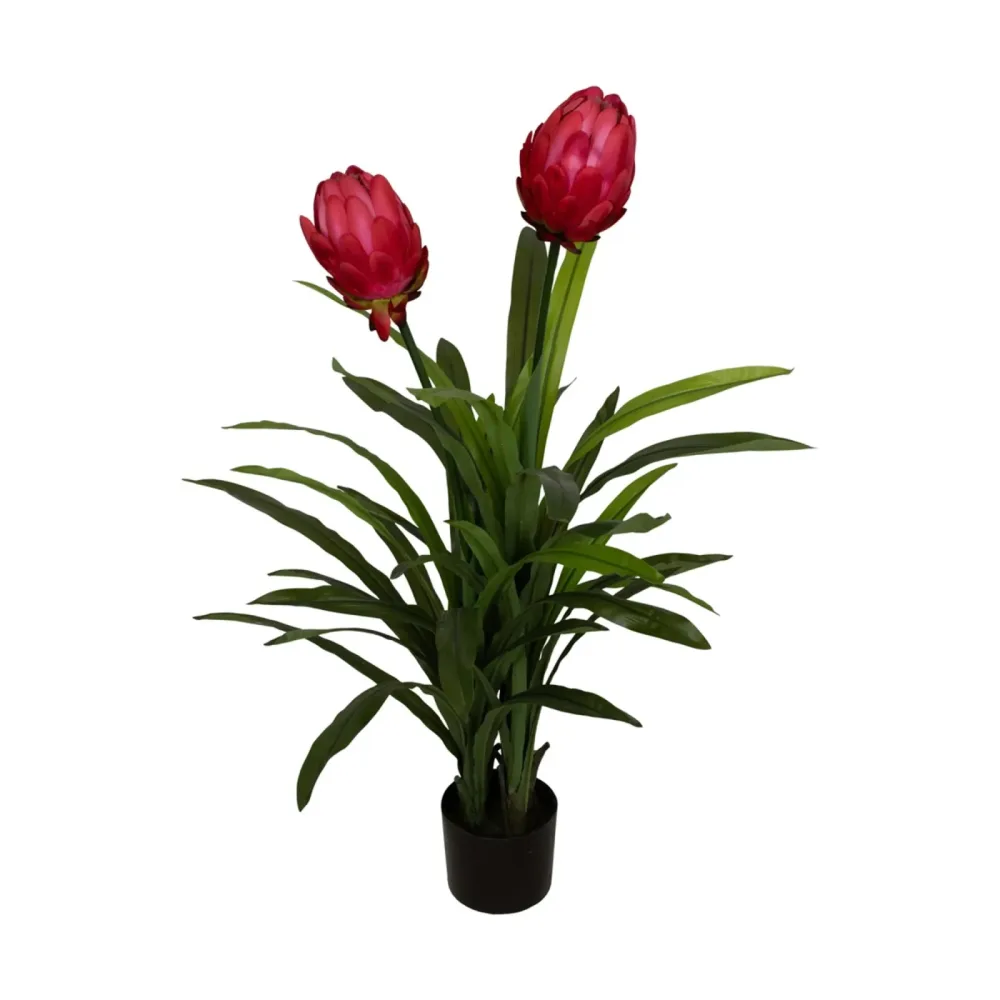 Decofinder Kunstpflanze Protea Pink H: 116 cm  | Schubiger Möbel