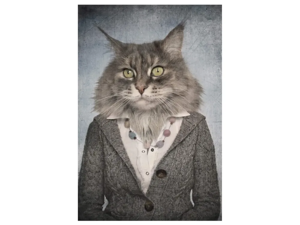 image LAND Digitaldruck auf Glas Katzenfrau  | Schubiger Möbel