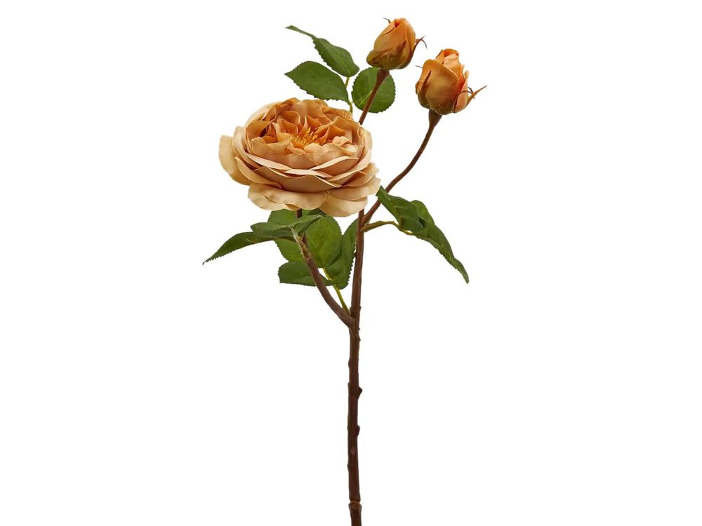 Edg Kunstblume Rose Ocker H: 48 cm  | Schubiger Möbel
