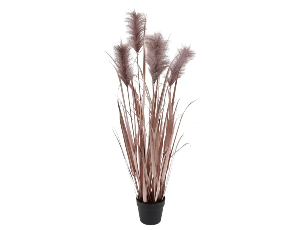 Edg Kunstpflanzen Pampasgrass Lilia H: 115 cm  | Schubiger Möbel
