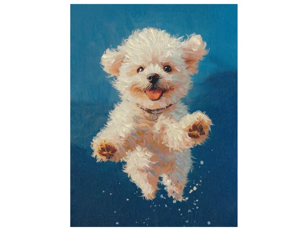 image LAND Bild Jumping Fluffy  | Schubiger Möbel