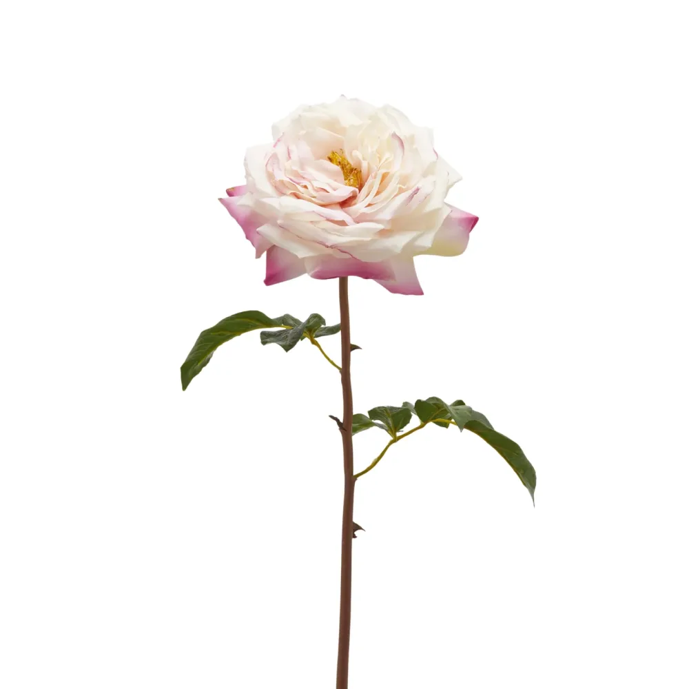 Edg Kunstblume Rose Hellrosa H: 50 cm  | Schubiger Möbel