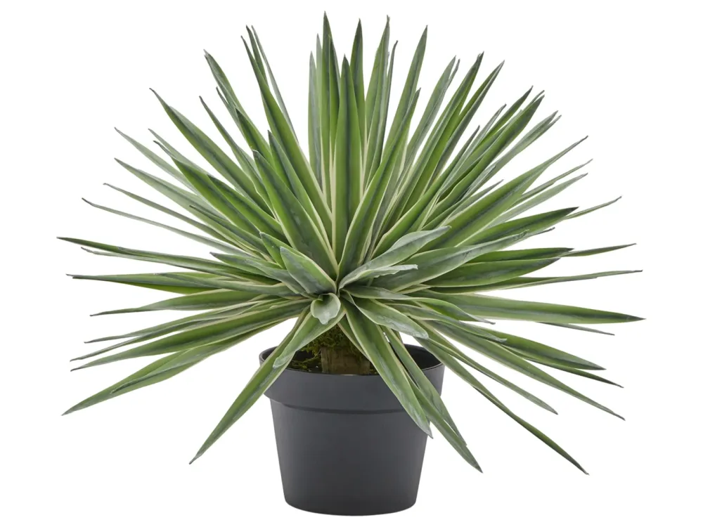 Edg Kunstpflanze Agave im Topf H: 45 cm  | Schubiger Möbel