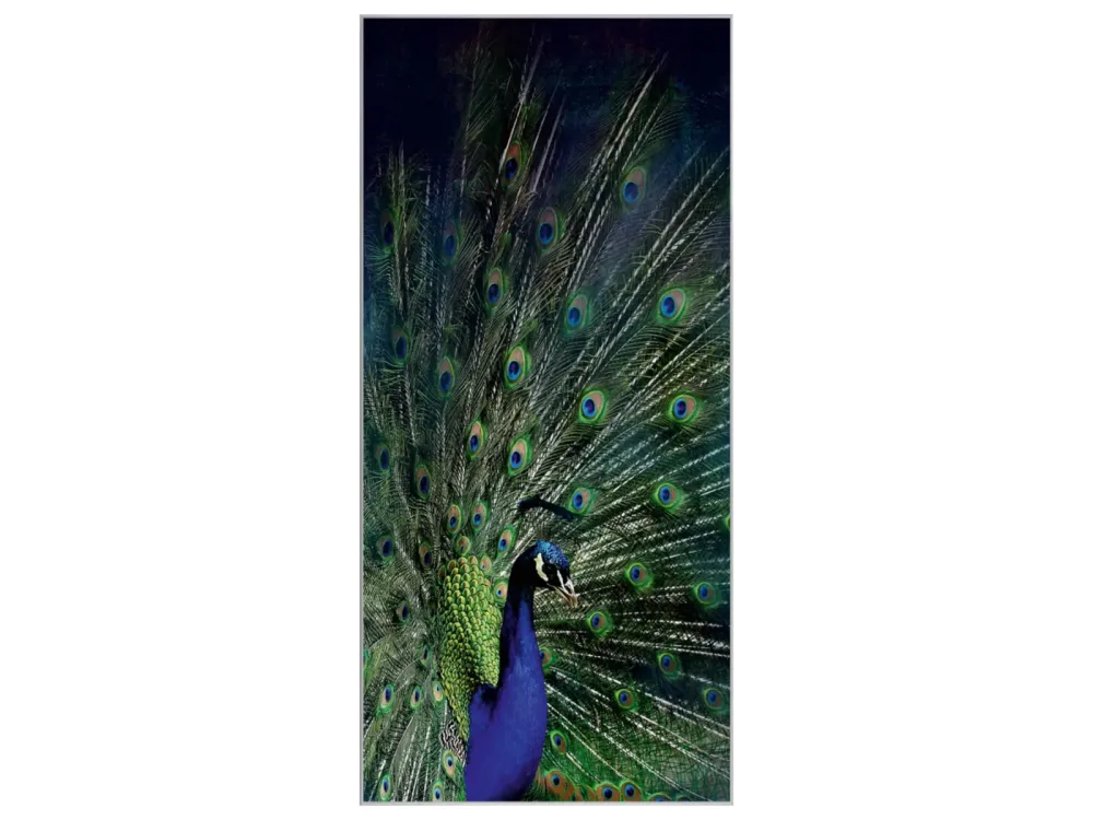 image LAND Bild mit Rahmen Majestätischer Pfau  | Schubiger Möbel