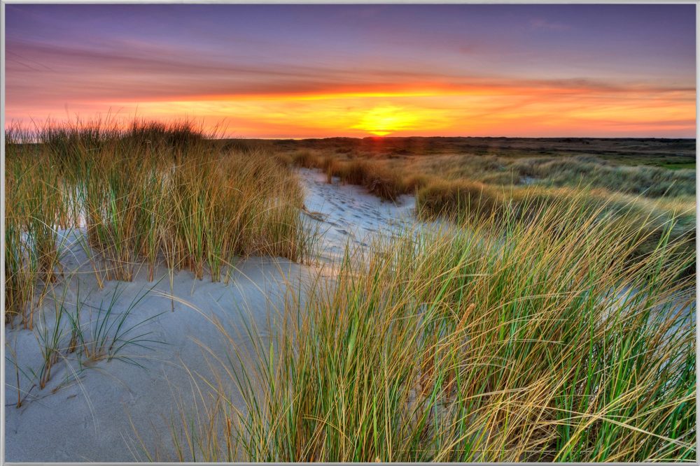 image LAND Bild mit Rahmen Dünenlandschaft mit Sonnenuntergang  | Schubiger Möbel