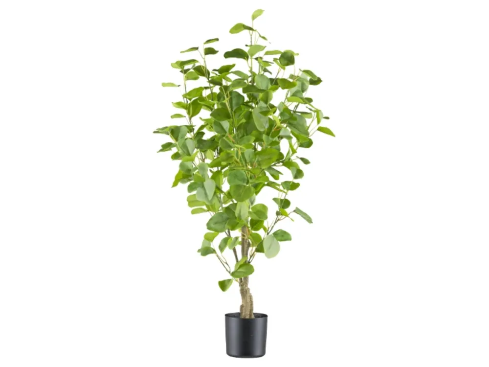 Gasper Kunstpflanzen Eukalyptus im Kunststofftopf H: 90 cm  | Schubiger Möbel