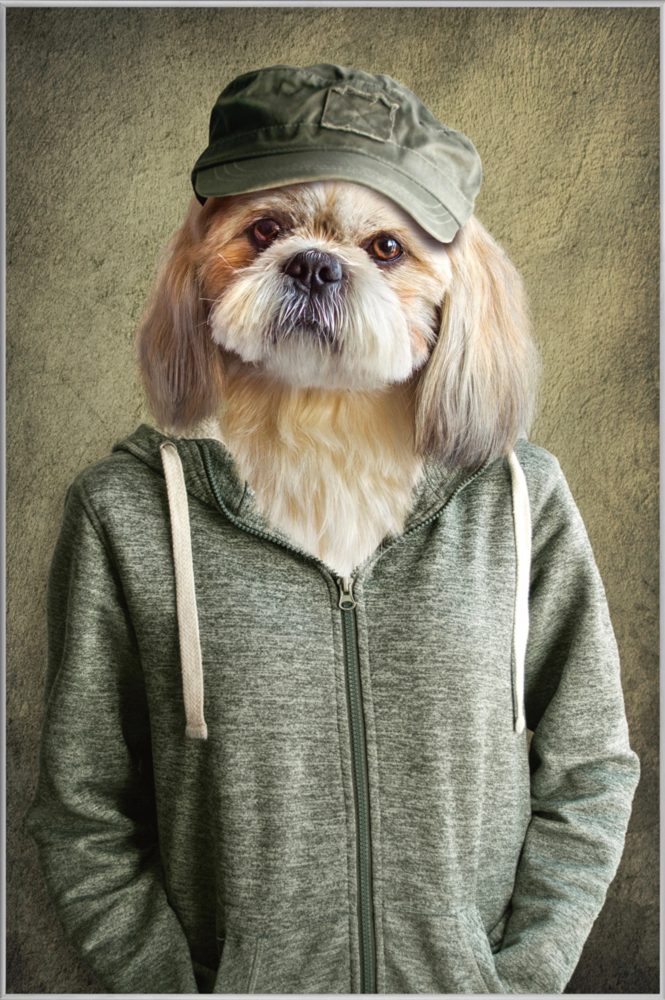 image LAND Bild mit Rahmen Witziger Hund mit Jacke  | Schubiger Möbel