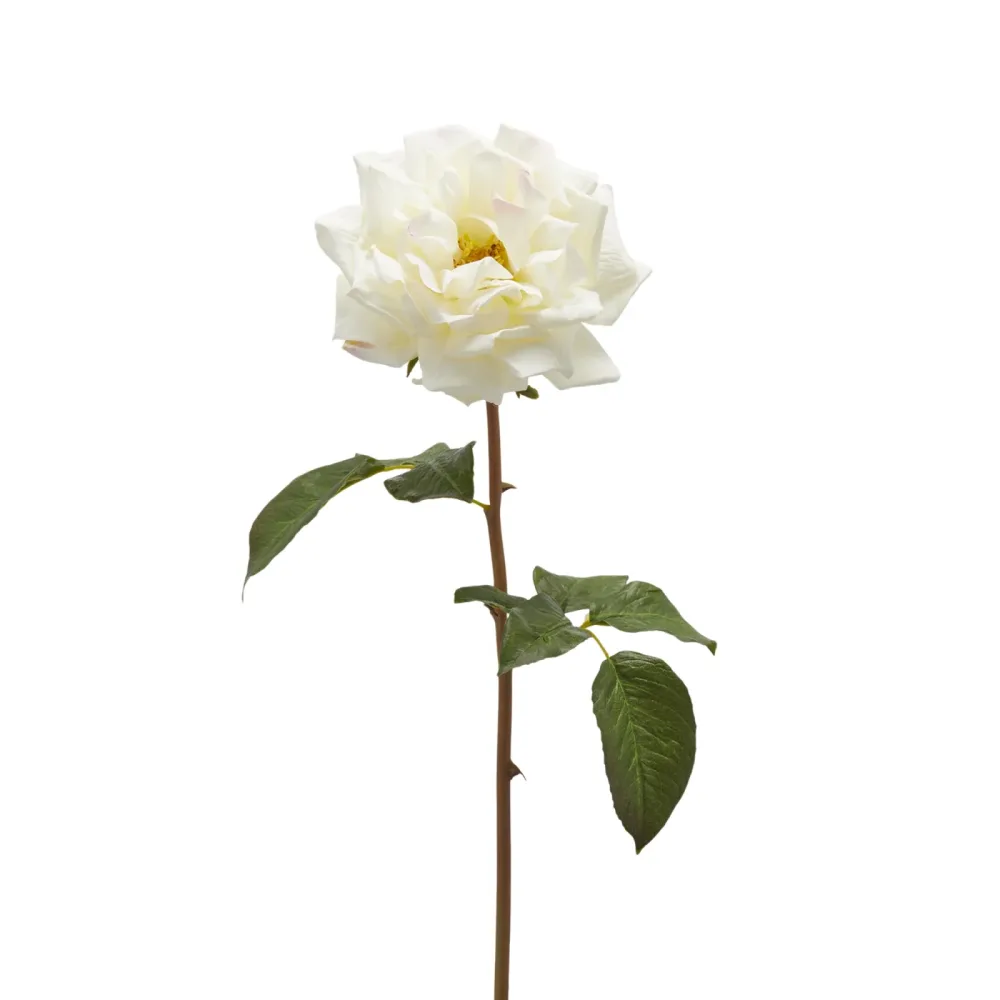 Edg Kunstblume Rose Weiss H: 50 cm  | Schubiger Möbel