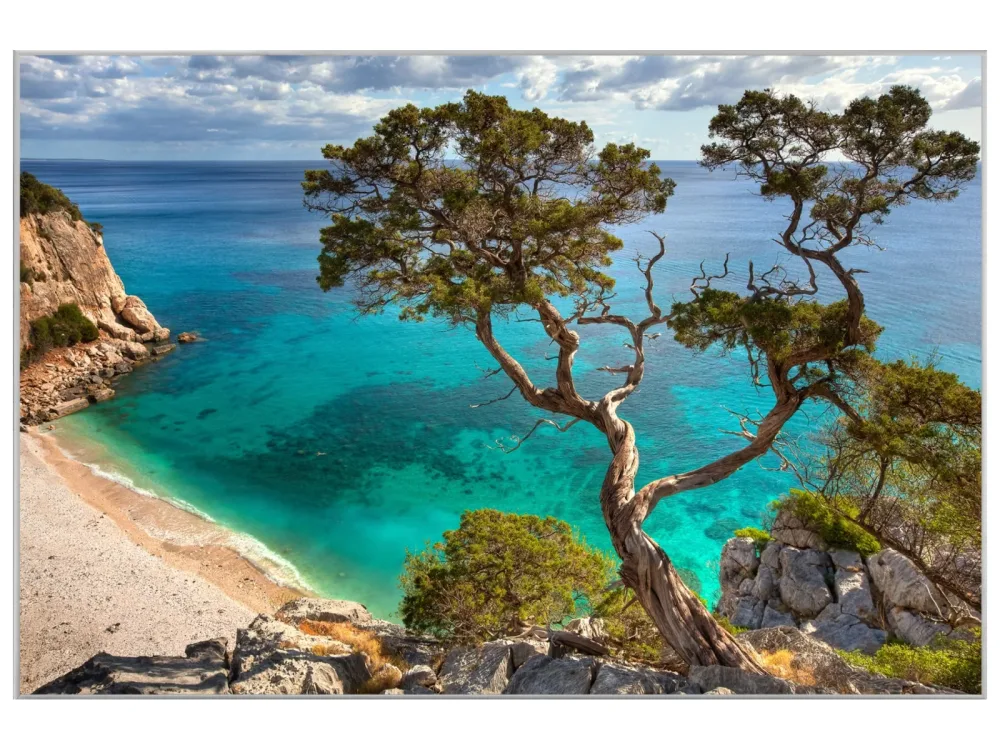 image LAND Bild mit Rahmen Steilküste mit Baum  | Schubiger Möbel
