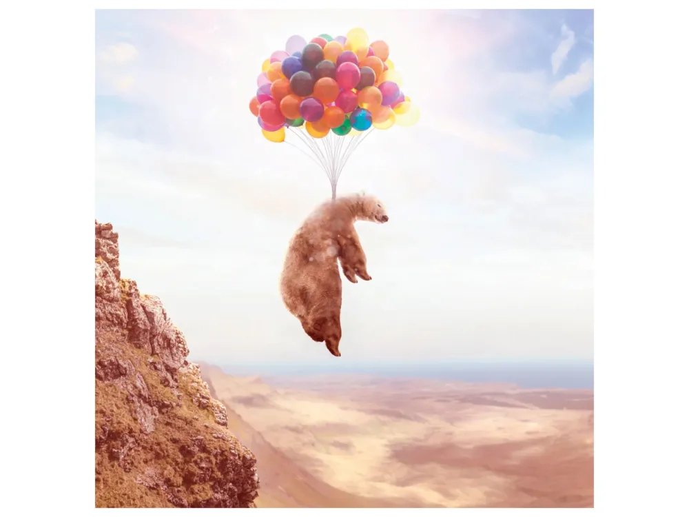 image LAND Alubild Fliegender Bär an Luftballons  | Schubiger Möbel