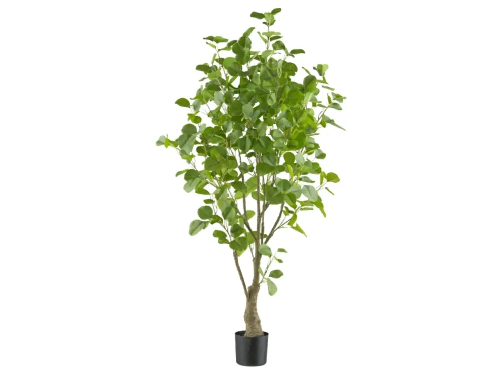 Gasper Kunstpflanzen Eukalyptus im Kunststofftopf H: 130 cm  | Schubiger Möbel