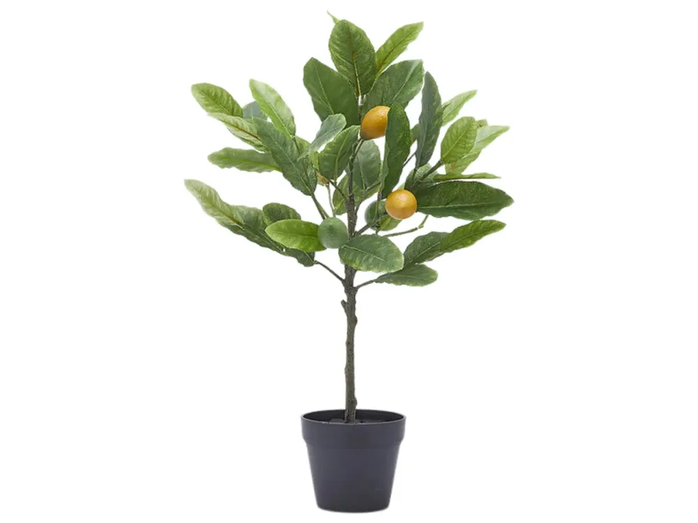 Edg Kunstpflanze Zitronenbaum H: 48 cm  | Schubiger Möbel