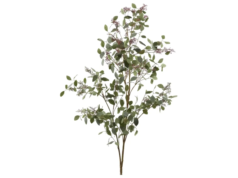 Edg Kunstpflanze Eucalyptusbaum H: 178 cm  | Schubiger Möbel