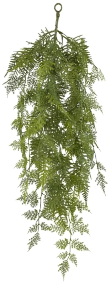 Gasper Kunstpflanze Asparagus  Hänger, Grün H: 90 cm  | Schubiger Möbel